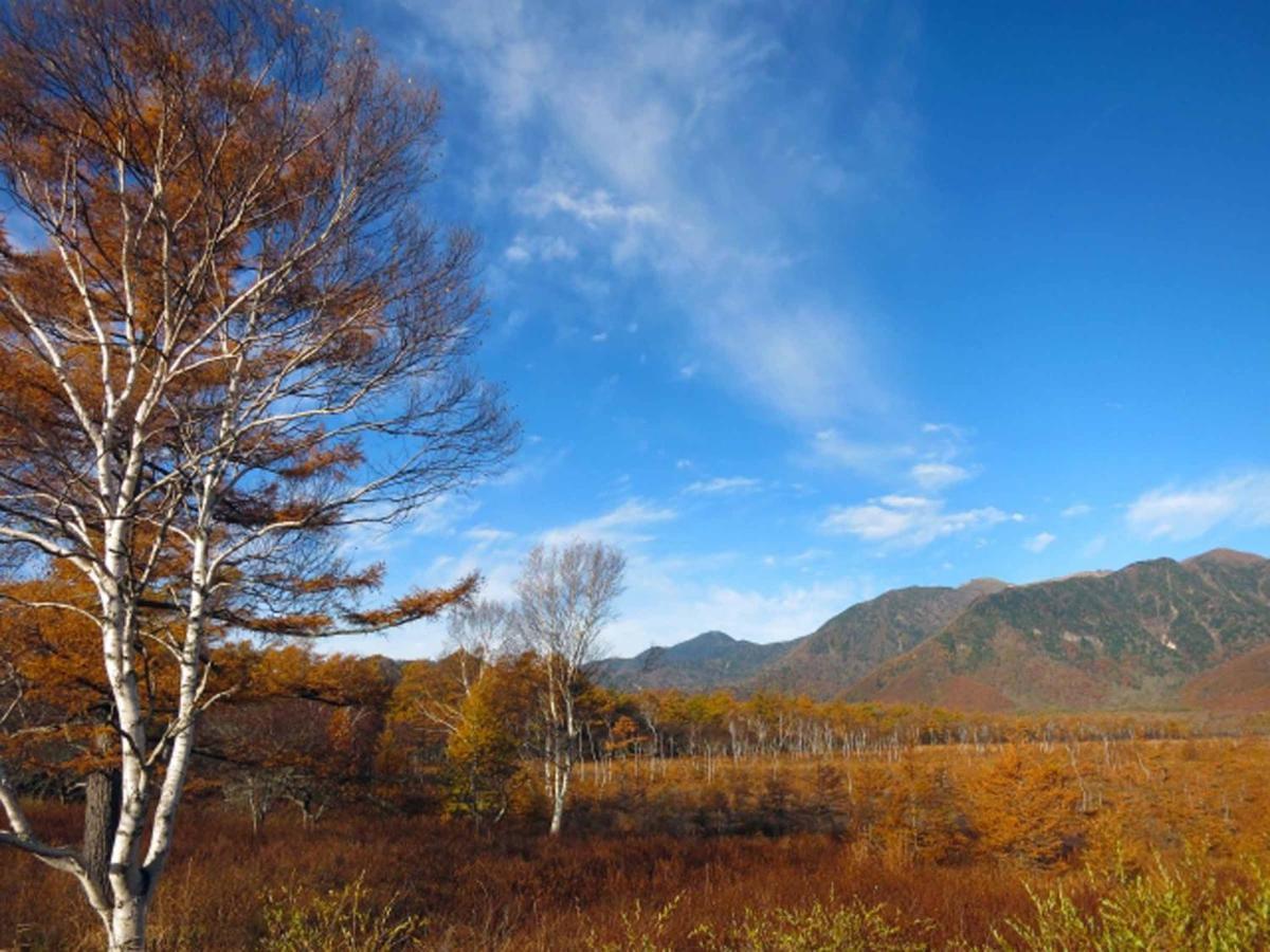 Okunikko Park Lodge Miyama Dış mekan fotoğraf